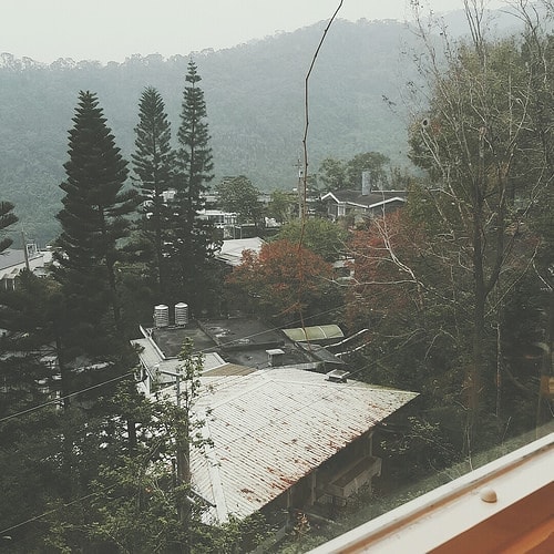 20241216-f0gjz