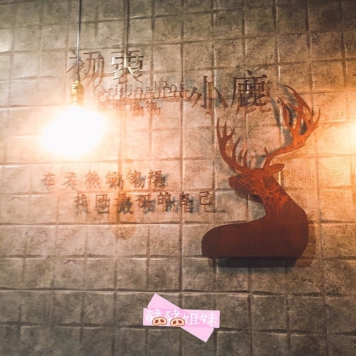 20241216-9rkjo