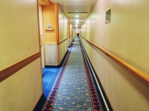20241216-rmuev