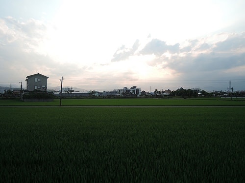 20241216-g730x