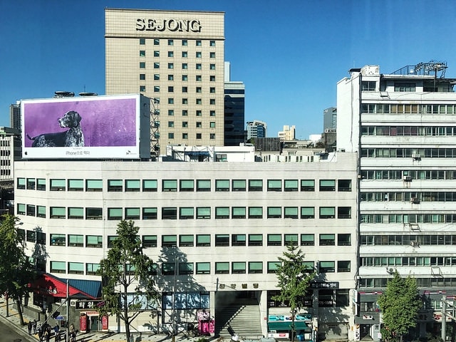 20241216-mhyzw