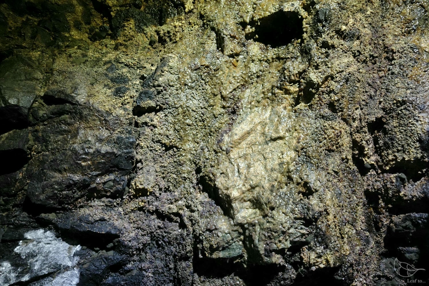 20241216-744ll