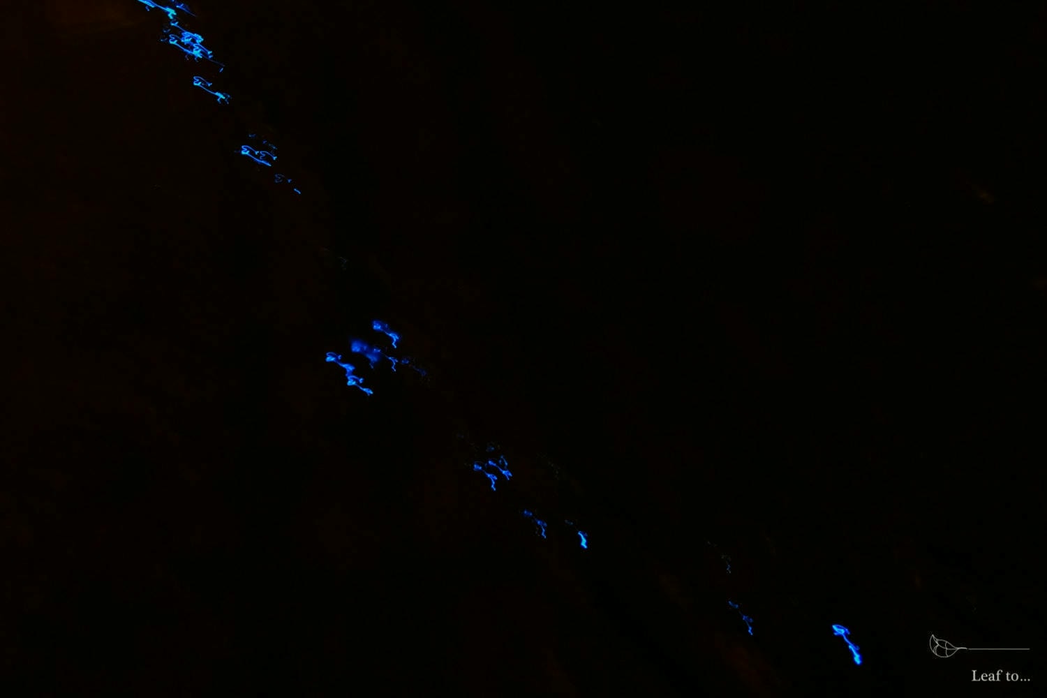 20241216-8xg7j