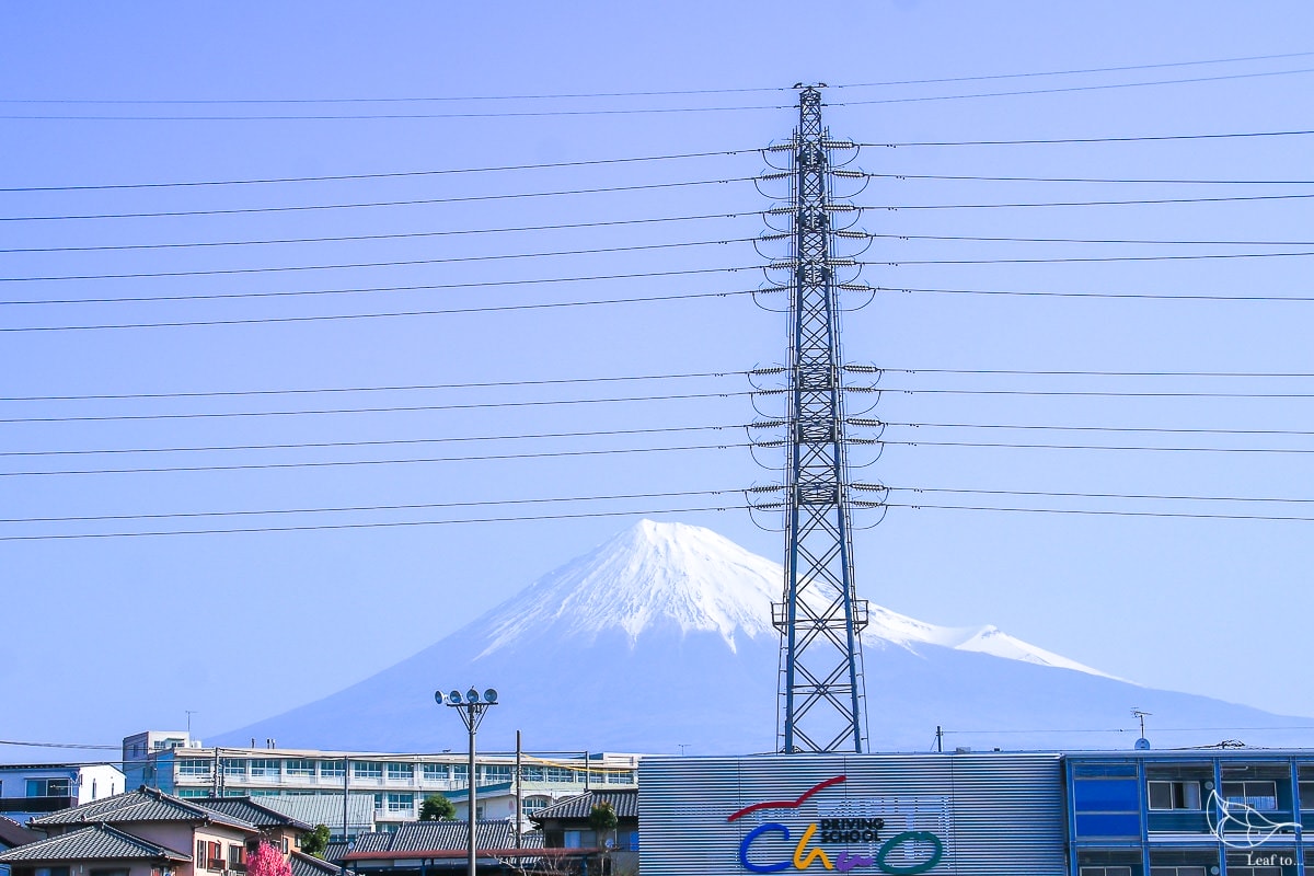 20241216-mnnnr