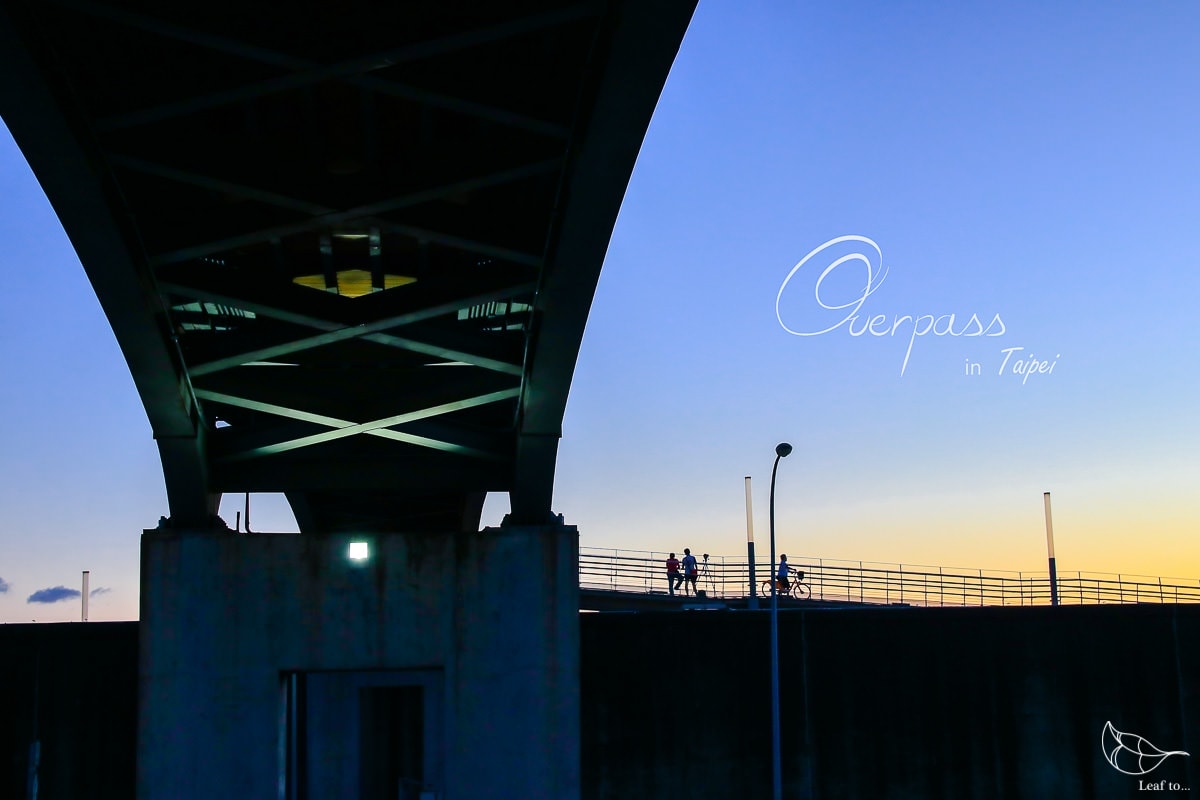 20241216-d7rul