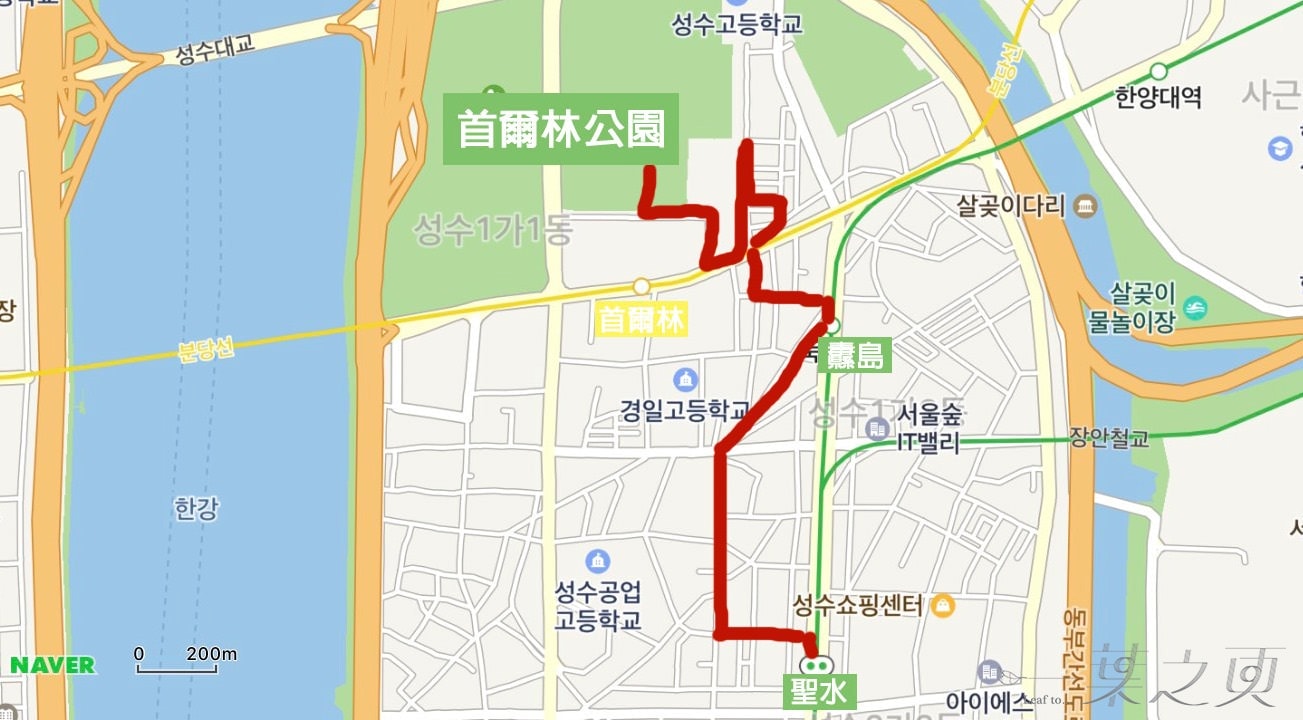 20241216-szp6a