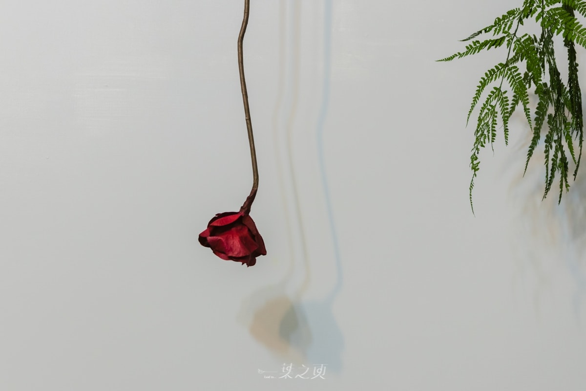 20241216-0lpdh