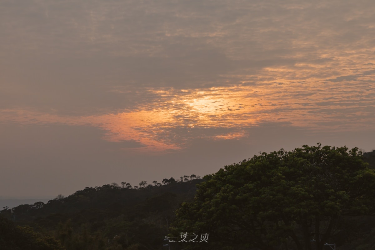 20241216-h2vl5