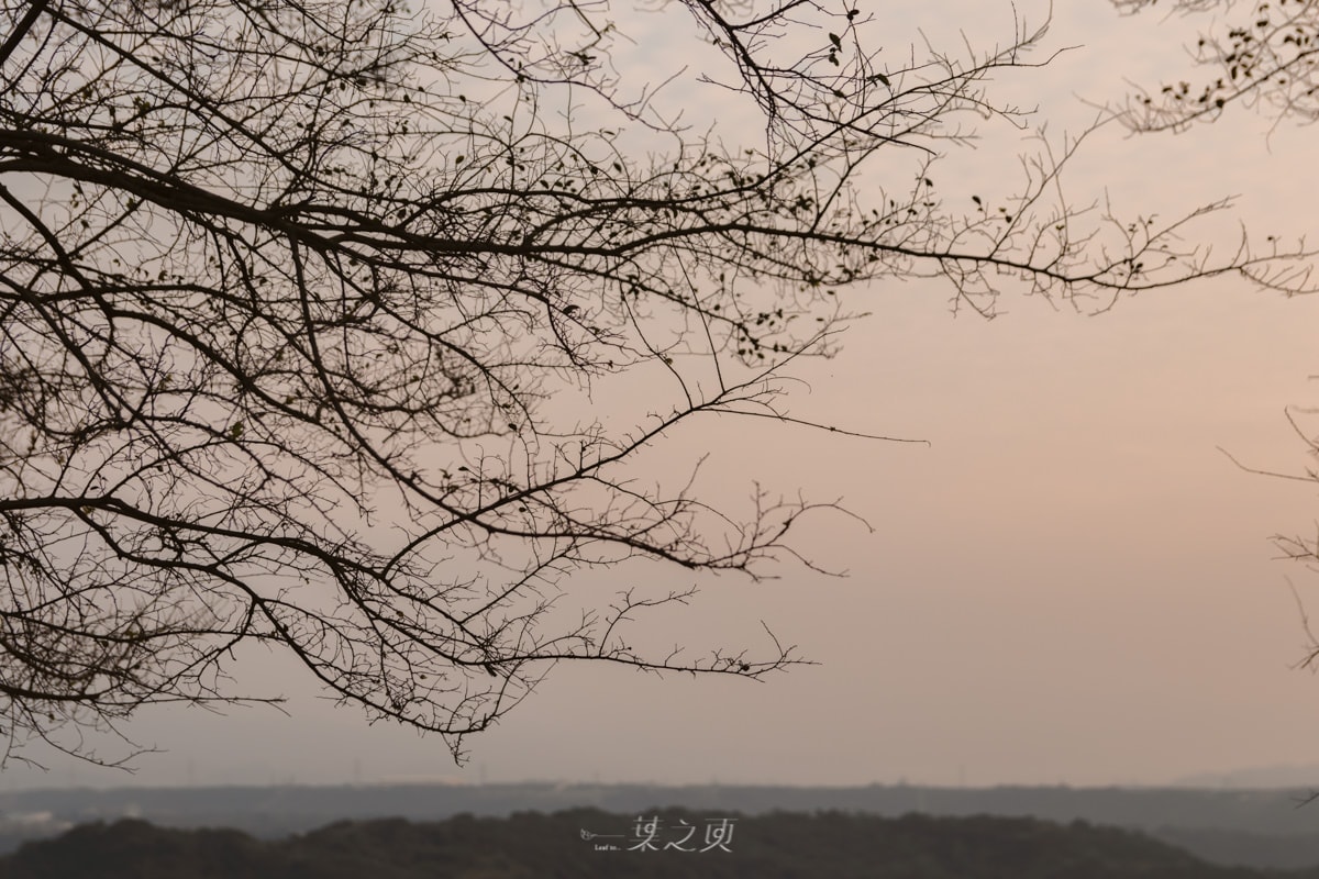 20241216-kjg2w