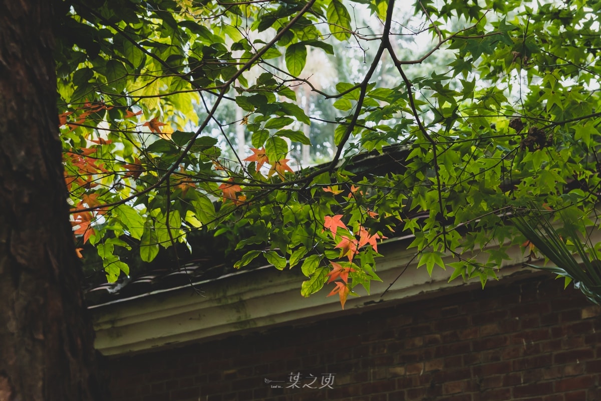 20241216-jdp0u