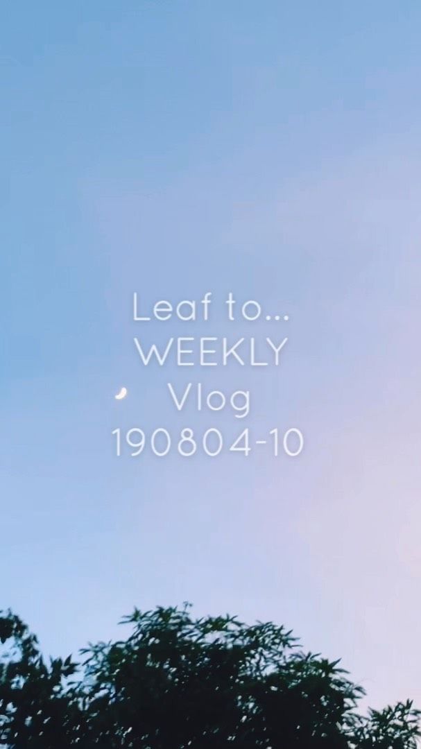 充滿怨念的標題😂

190804-10 Leaf to...Weekly life
#Weekly #vlog #weeklog #leaftodiary - Music Credit -
Title: Balloon
Musician: iksonofficial